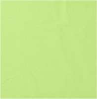 Serviette ouate 2 plis 39x39 pistache (100)