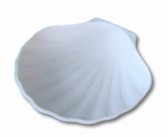 Coquille St Jacques minérale (carton de 192)